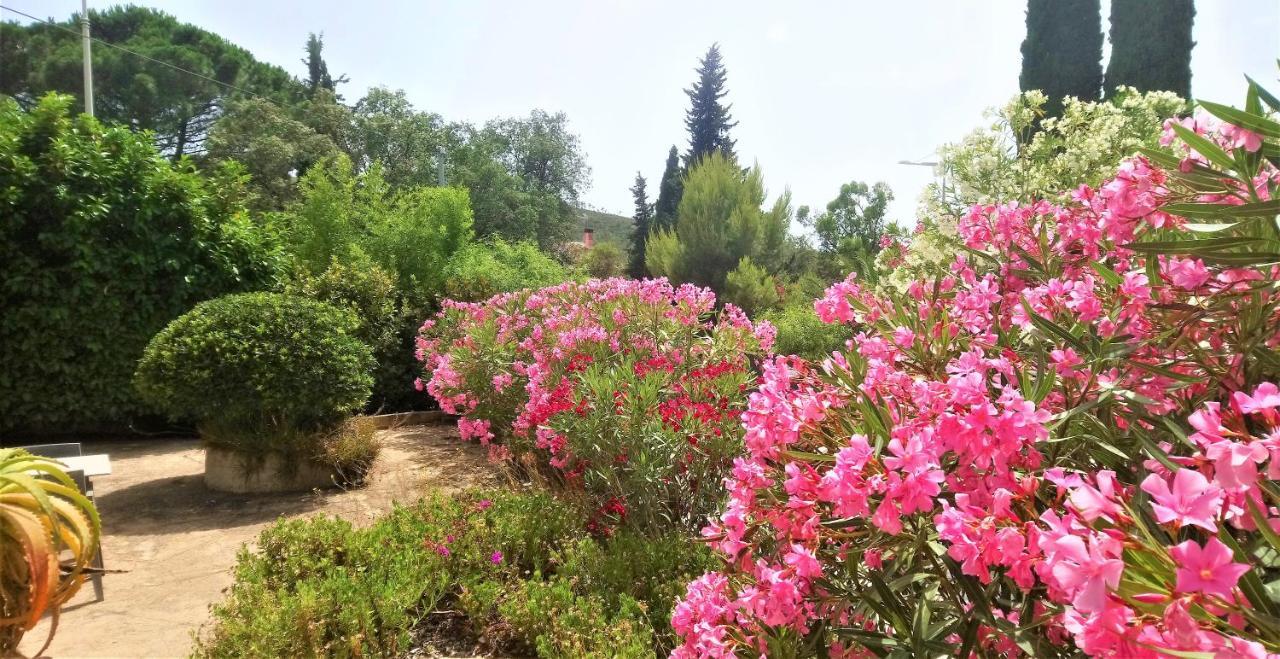 Hotel Les Jardins De Bormes, Sauna & Jacuzzi Dış mekan fotoğraf